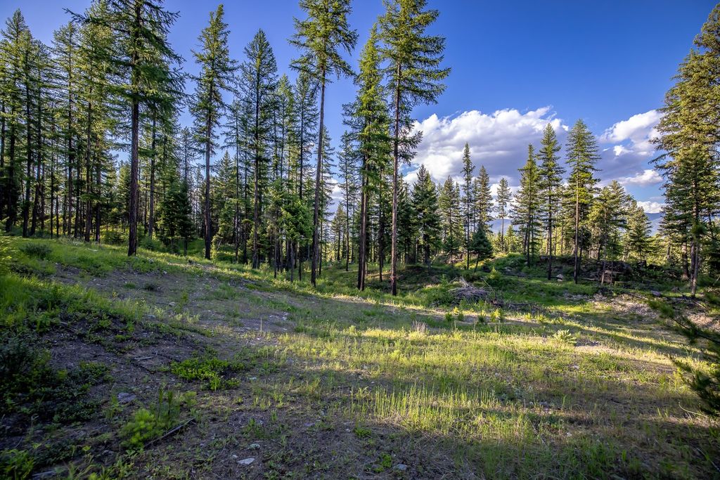 300 Salish Mountains Drive, Whitefish, MT 59937 photo 84