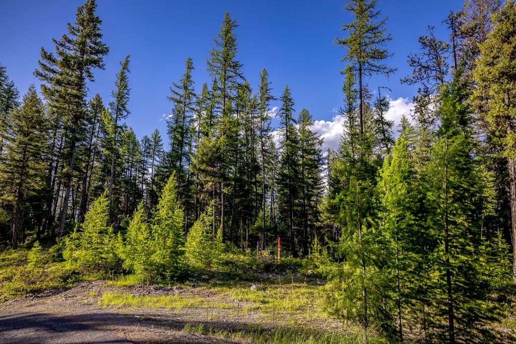 300 Salish Mountains Drive, Whitefish, MT 59937 photo 88