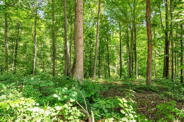 160 Fawn Pl, Smithville, TN 37166