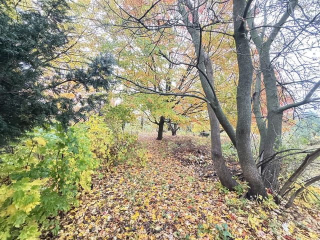 4496 N 172nd Avenue, Walkerville, MI 49459