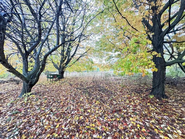 4496 N 172nd Avenue, Walkerville, MI 49459