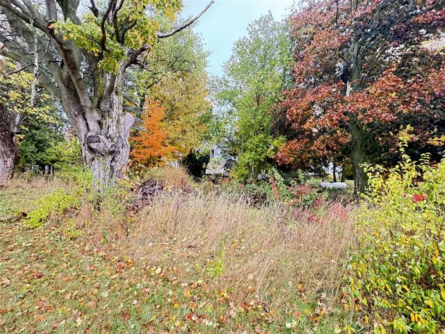 4496 N 172nd Avenue, Walkerville, MI 49459