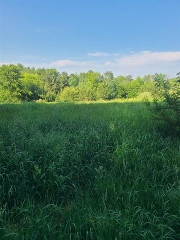 4496 N 172nd Avenue, Walkerville, MI 49459