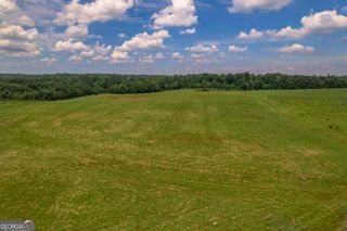 265 Hamil Road 31.89 AC, Griffin, GA 30223