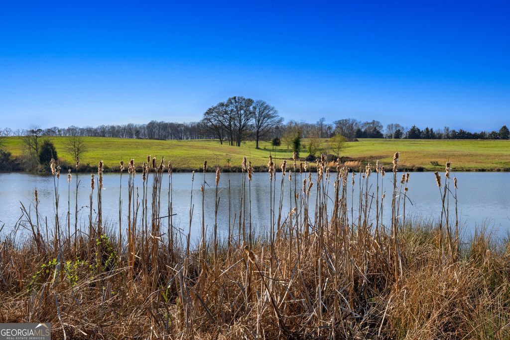 10 Ridgeview Point, Hartwell, GA 30643 — exterior