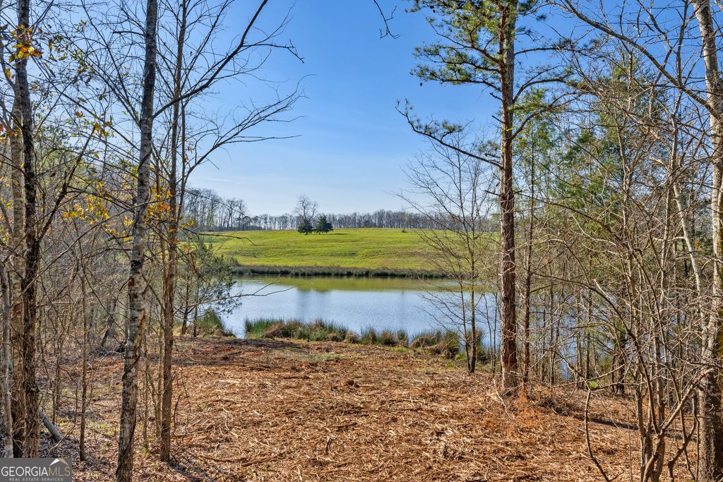 10 Ridgeview Point, Hartwell, GA 30643 — photo 2
