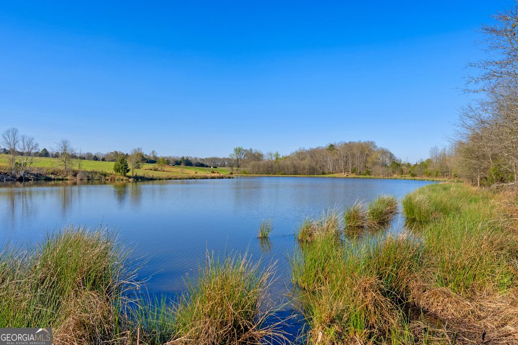 10 Ridgeview Point, Hartwell, GA 30643 — photo 3