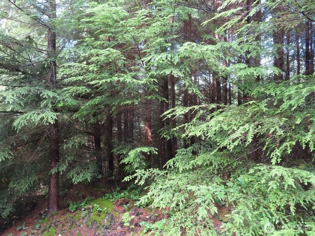 0 Tract 2 State Route 101, South Bend, WA 98596