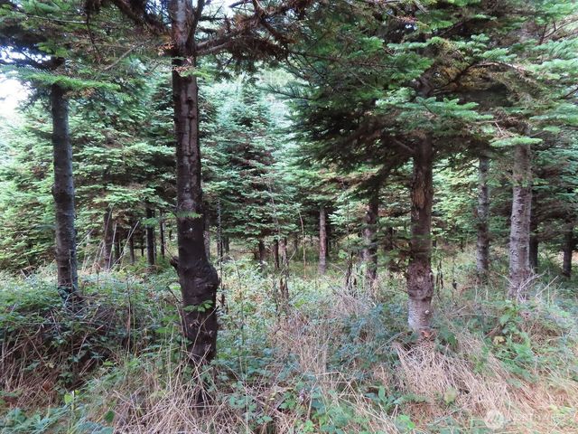 0 Tract 2 State Route 101, South Bend, WA 98596