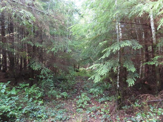 0 Tract 2 State Route 101, South Bend, WA 98596