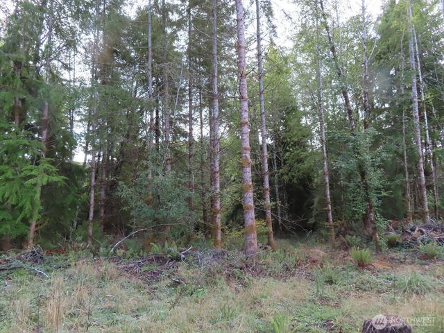 0 Tract 2 State Route 101, South Bend, WA 98596