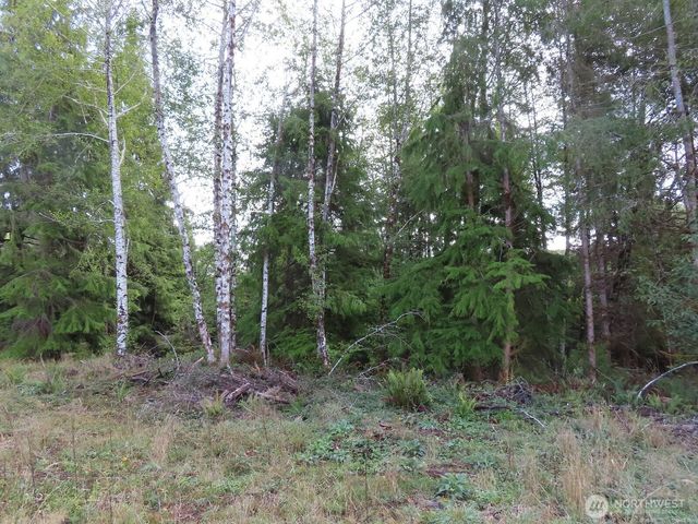 0 Tract 2 State Route 101, South Bend, WA 98596