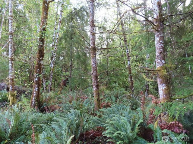 0 Tract 2 State Route 101, South Bend, WA 98596