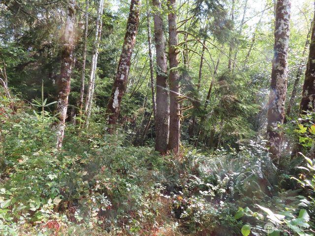 0 Tract 2 State Route 101, South Bend, WA 98596