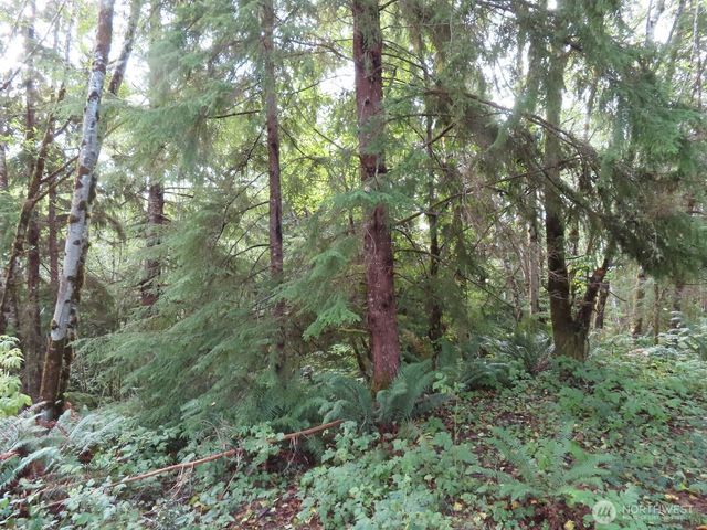 0 Tract 2 State Route 101, South Bend, WA 98596