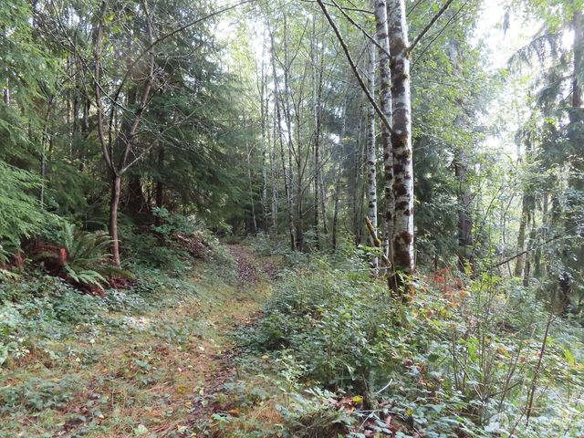 0 Tract 2 State Route 101, South Bend, WA 98596