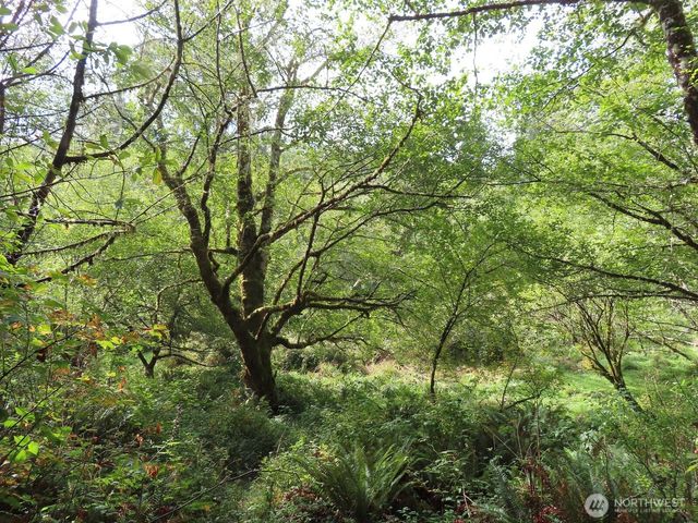 0 Tract 2 State Route 101, South Bend, WA 98596