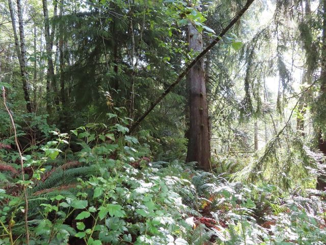 0 Tract 2 State Route 101, South Bend, WA 98596