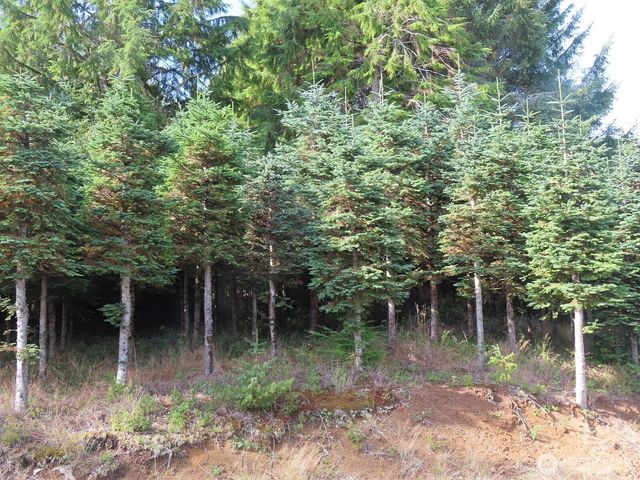 0 Tract 2 State Route 101, South Bend, WA 98596