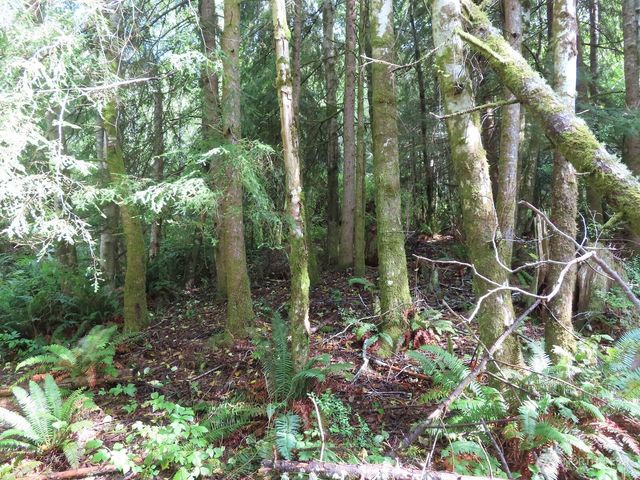 0 Tract 2 State Route 101, South Bend, WA 98596