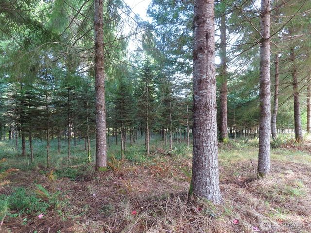 0 Tract 2 State Route 101, South Bend, WA 98596