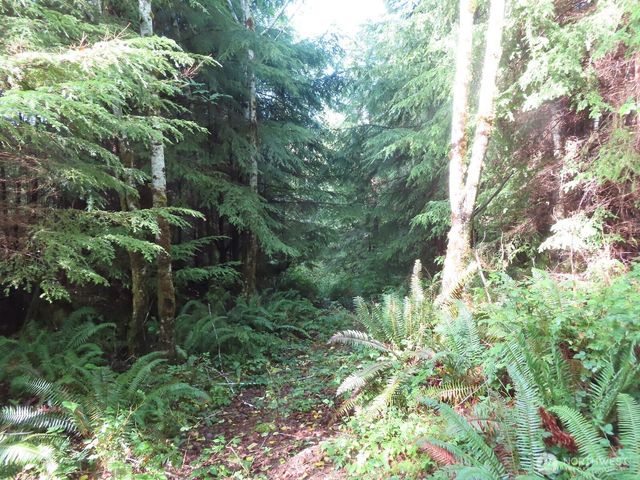 0 Tract 2 State Route 101, South Bend, WA 98596