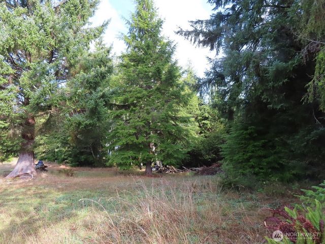 0 Tract 2 State Route 101, South Bend, WA 98596