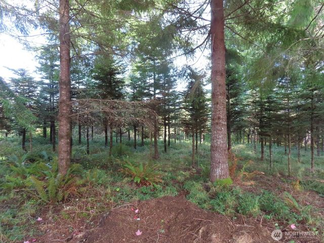 0 Tract 2 State Route 101, South Bend, WA 98596