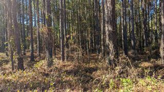 541 Bent Knee Road, Keysville, GA 30816