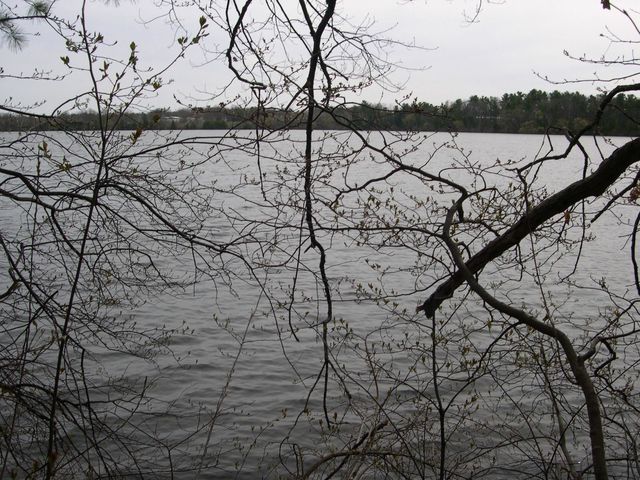 1573 Edgewater Ridge, Traverse City, MI 49684