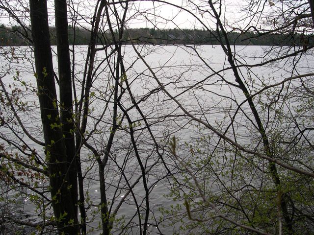 1573 Edgewater Ridge, Traverse City, MI 49684