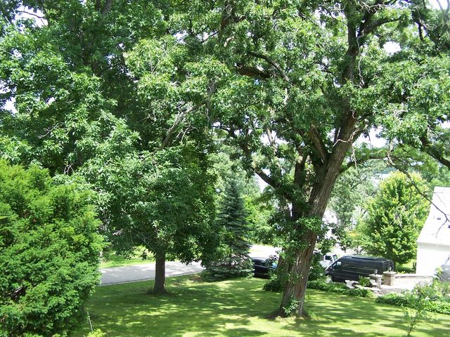 3212 Pleasant Drive, Wonder Lake, IL 60097