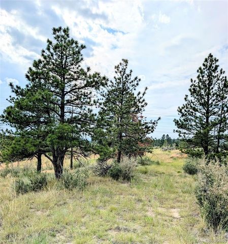 11634 Bell Cross Circle, Parker, CO 80138