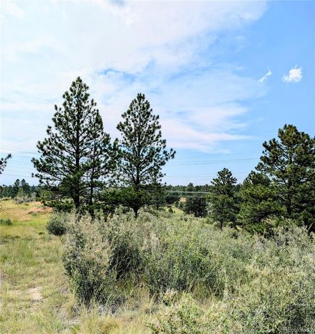 11634 Bell Cross Circle, Parker, CO 80138