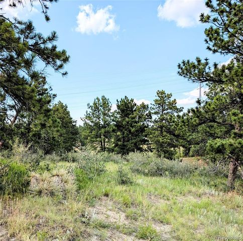 11634 Bell Cross Circle, Parker, CO 80138