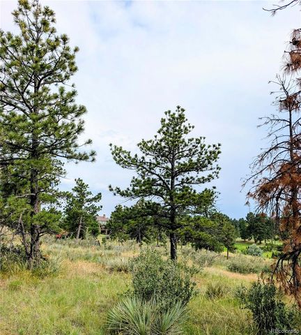 11634 Bell Cross Circle, Parker, CO 80138