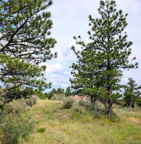 11634 Bell Cross Circle, Parker, CO 80138