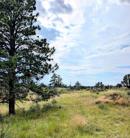 11634 Bell Cross Circle, Parker, CO 80138