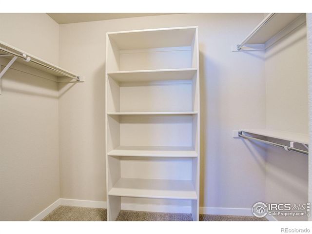 7073 Prairie Sky Lane, Wellington, CO 80549