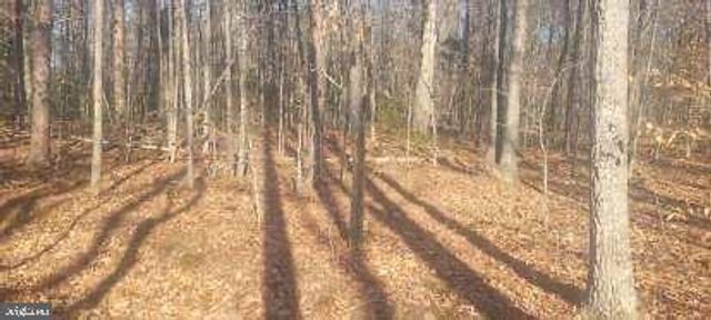 SHELTON LN, Mineral, VA 23117