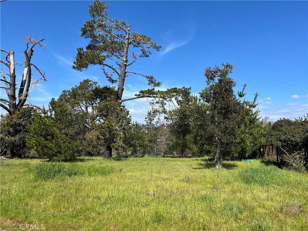 Image 1 of property listing at 2540 Malvern Street, Cambria, CA 93428