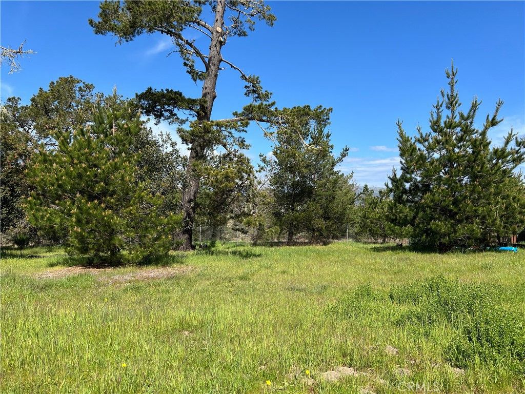 Image 2 of property listing at 2540 Malvern Street, Cambria, CA 93428