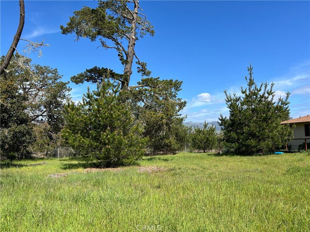Image 3 of property listing at 2540 Malvern Street, Cambria, CA 93428