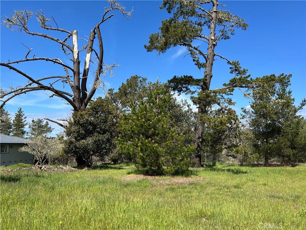 Image 9 of property listing at 2540 Malvern Street, Cambria, CA 93428