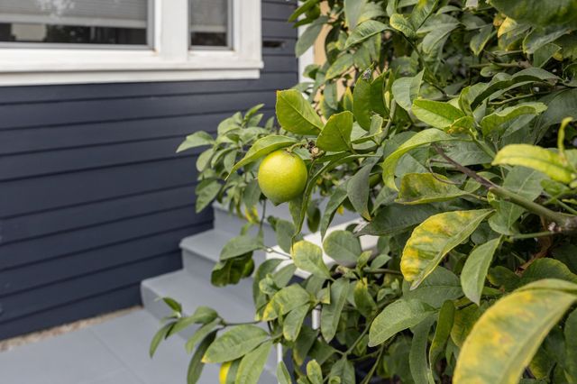 1538 20th Ave, Oakland, CA 94606