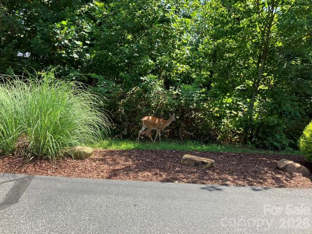 1211 Mountain Vista Drive, Nebo, NC 28761
