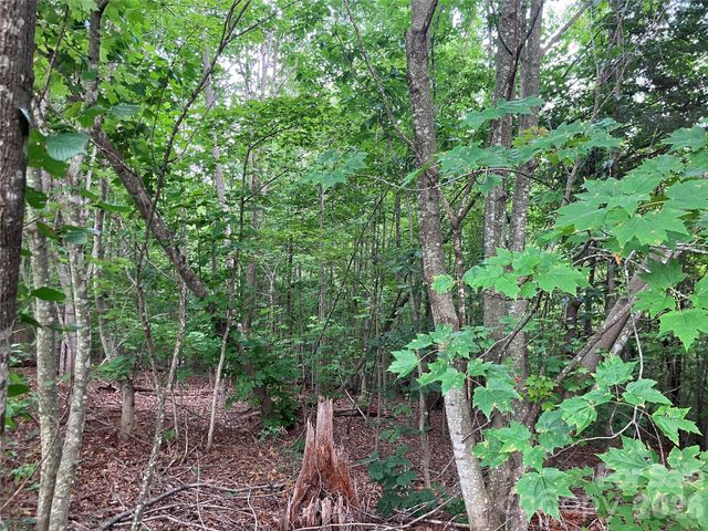 1211 Mountain Vista Drive, Nebo, NC 28761