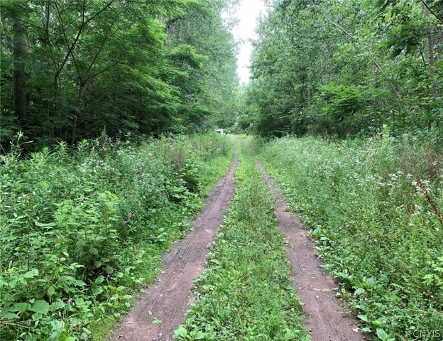 60 Ridgeway Sites Avenue, Minetto, NY 13115