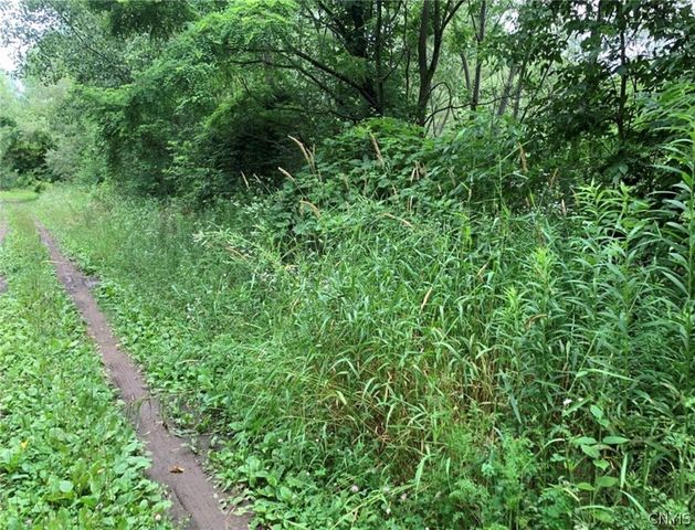 60 Ridgeway Sites Avenue, Minetto, NY 13115