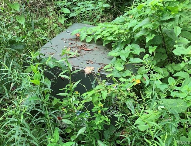 60 Ridgeway Sites Avenue, Minetto, NY 13115